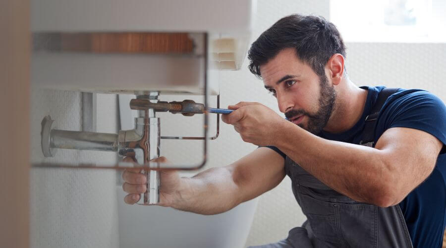 Trap Repair/Replacement in Samaria, MI